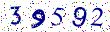 Enter Word Verification